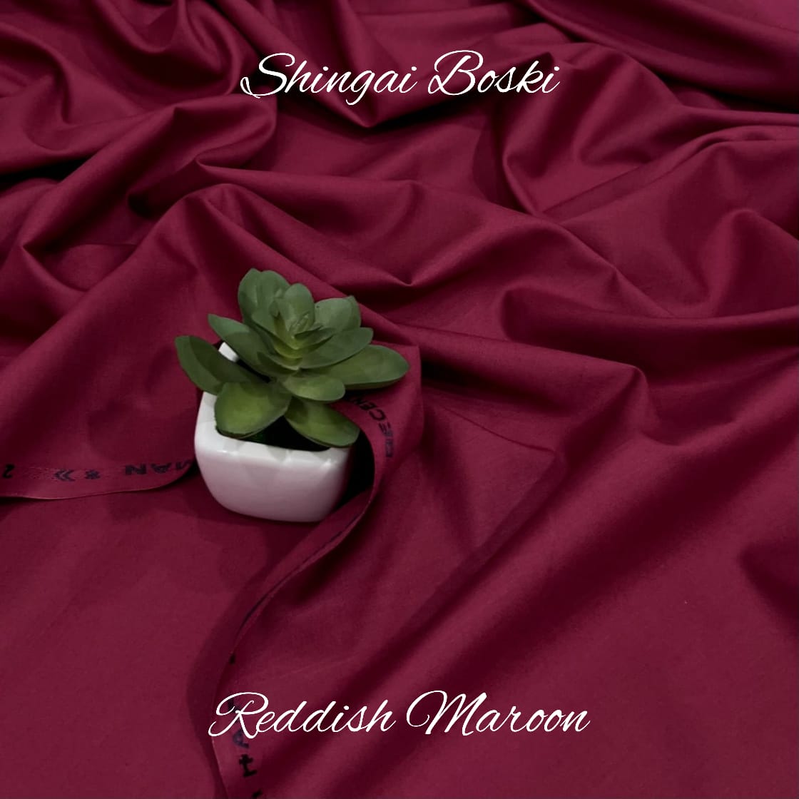 Shingai Boski - 40+ Colors