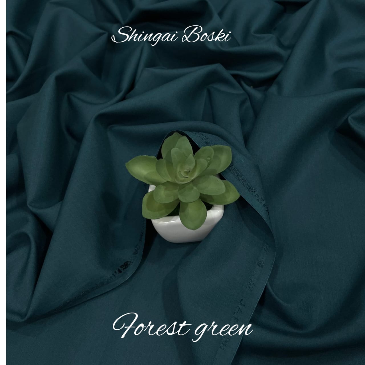 Shingai Boski - 40+ Colors